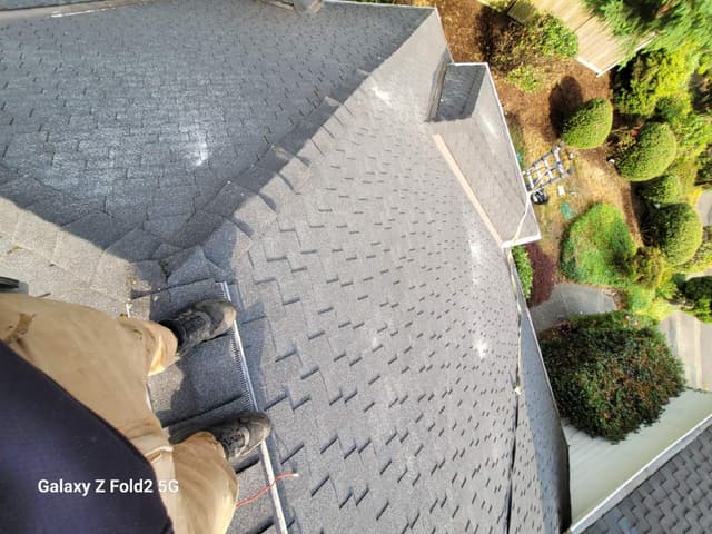 Roof Cleaning